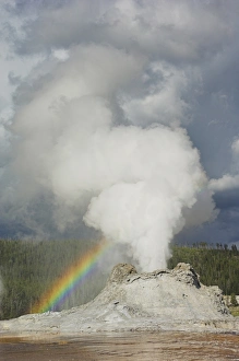 Yellowstone National Park Photography Prints: D2x070608148