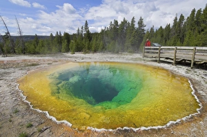 Yellowstone Geology Prints: D2x070608240