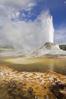 Yellowstone National Park Photos Prints: D2x070608269