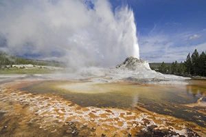Castle Geyser Eruption Prints: D2x070608272