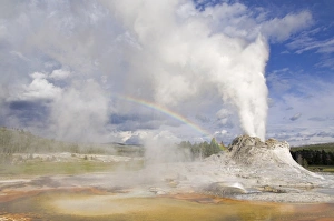 Yellowstone National Park Photography Prints: D2x070608341