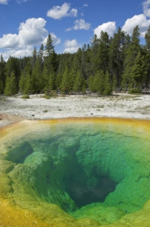 Upper Geyser Basin Prints: D2x070609239