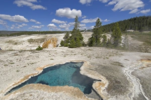 Upper Geyser Basin Prints: D2x070609292