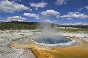 Upper Geyser Basin Prints: D2x070609453