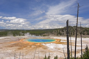 Midway Geyser Basin Prints: D2x070611136
