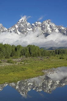 American Wilderness Scenes Prints: D2x070612006