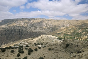 Middle Eastern Wildlife Prints: Dana Reserve