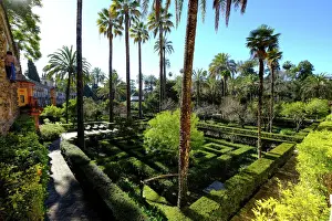 Prints of Dance Gardens, Real Alcazar, UNESCO World Heritage Site, Seville, Andalucia, Spain, Europe Dance Prints: Dance Gardens Print, Real Alcazar, Seville, Spain