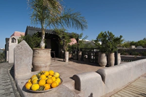 Morocco Tourism Prints: Dar Darma Riad, Marrakech, Morocco, North Africa, Africa