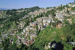 Indian Hill Stations Prints: Darjeeling