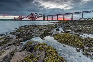 Forth Bridge Prints: Forth Rail Bridge Print at Dawn