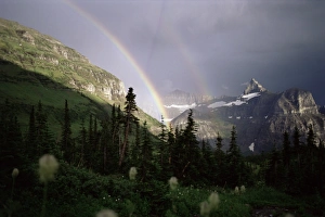 Glacier National Park Landscape Prints: Double rainbow with bear grass in foreground