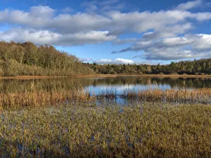 Dromore Lough, County Clare, Munster, Republic of Ireland, Europe Dromore Lough, County Clare, Munster, Republic of Ireland, Europe