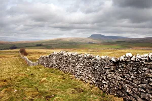 Dry stone wall at Winskill Stones with Pen Y Ghent beyond, near Settle, Yorkshire Dales, Yorkshire, England Dry stone wall at Winskill Stones with Pen Y Ghent beyond, near Settle, Yorkshire Dales, Yorkshire, England