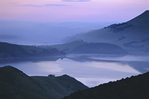 Otago Peninsula Scenery Prints: Dunedin area