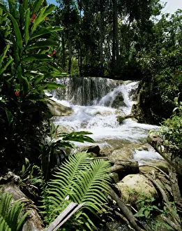 Dunns River Falls Print