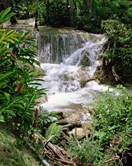 Caribbean Island Getaways Prints: Dunns River Falls