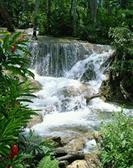 Dunns River Falls Jamaica Prints: Dunns River Falls