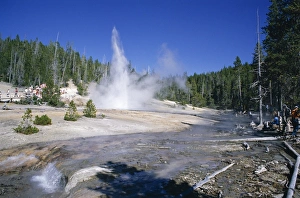 Yellowstone Geysers Prints: Echinus Geyser