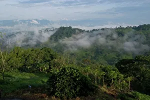 El Caney Plantation and view over coffee crops towards the Andes Mountains El Caney Plantation and view over coffee crops towards the Andes Mountains