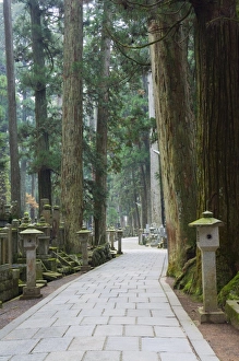 Images Dated 11th November 2007: Entrance Path Print, Okunoin graveyard, Koya-san, Japan