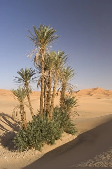 North Africa Travel Guide Prints: Erg Chebbi