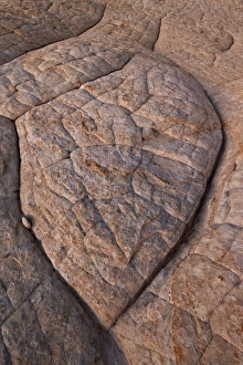 Erosion Patterns In Nature Prints: Erosion pattern in Navajo sandstone