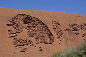 World Heritage Site Landscapes Prints: Erosion pattern, Uluru (Ayers Rock), UNESCO World heritage Site, Northern Territory