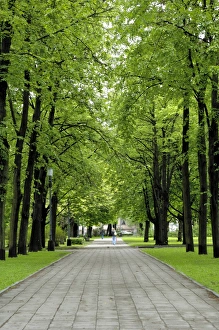 Esplanade, green park near the Russian Orthodox Cathedral Esplanade, green park near the Russian Orthodox Cathedral