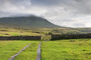 Yorkshire Dales Landscape Photography Prints: Evening light at Ingleborough Mountain