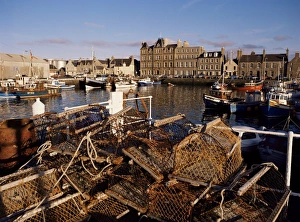 European Harbour Prints: Evening sunlight