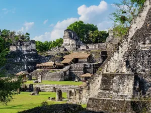 Ancient Ruins Guatemala Prints: Exploration of ancient structures in North Acropolis at Tikal