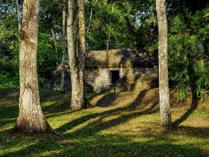 Prints of Exploring ancient structures at Group A of Uaxactun Archaeological Site in Peten, Guatemala Guatemala Prints: Uaxactun Group A Ancient Structures Print