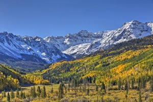 Fall Colors Print: Road 7, Sneffle Range, Ouray, Colorado