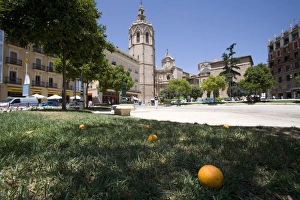 Mediterranean Architecture Europe Prints: fallen orange