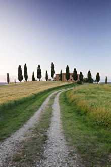 Farm house with cypress trees, near Pienza, Val d'Orcia (Orcia Valley) Farm house with cypress trees, near Pienza, Val d'Orcia (Orcia Valley)