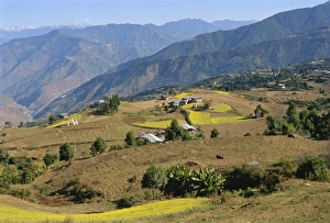 Bhutan Landscape Photography Prints: Farmed fields in mountainous landscape, eastern Bhutan, Asia
