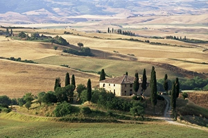 Farmhouse and cypress trees in the early morning Farmhouse and cypress trees in the early morning