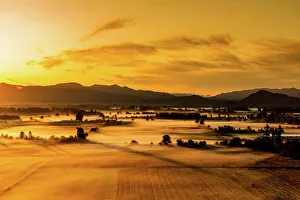 Farmland in Auburn at sunset, Washington State, United States of America, North America Farmland in Auburn at sunset, Washington State, United States of America, North America