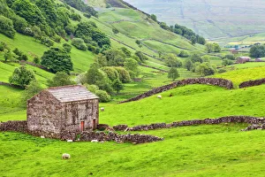 Field barn below Kisdon Hill near Angram in Swaledale, Yorkshire Dales, Yorkshire, England, United Kingdom, Europe Field barn below Kisdon Hill near Angram in Swaledale, Yorkshire Dales, Yorkshire, England, United Kingdom, Europe