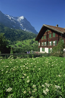 Eiger Mountain View Prints: Fields and chalets at Grindelwald with the Eiger at 13026ft beyond