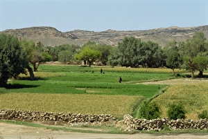 Colorful Agricultural Landscape Prints: Fields of mixed crops irrigated by pump wells