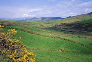 Overcast European Landscapes Prints: Fields near Dingle, Co