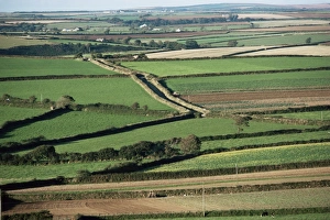 UK Rural Landscapes Prints: Fields near St. Austell, Cornwall, England, United Kingdom, Europe