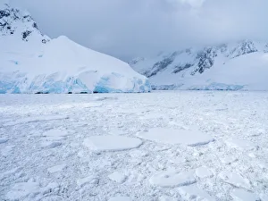 First year sea ice choking the southern entrance to the Lemaire Channel, Antarctica, Polar Regions First year sea ice choking the southern entrance to the Lemaire Channel, Antarctica, Polar Regions