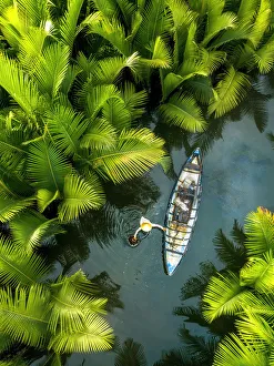 Fisherman fishing in the middle of nipa palm forest, Quang Ngai, Vietnam, Indochina