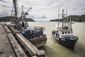 Fishing boat in Mangonui Harbour, Northland Region, North Island, New Zealand, Pacific Fishing boat in Mangonui Harbour, Northland Region, North Island, New Zealand, Pacific