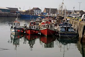 Fishing boats, Howth harbour, County Dublin, Republic Ireland, Europe Fishing boats, Howth harbour, County Dublin, Republic Ireland, Europe