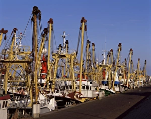 European Fishing Vessels Prints: Fishing fleet