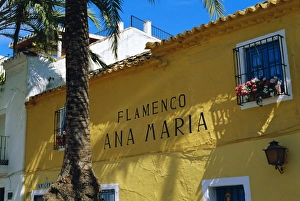 Andalucia Spain Tourism Prints: Flamenco bar